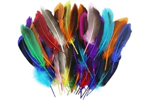 AMANDELIZABE 55 Pezzi Piume Colorate per Artigianato, morbide Piume Naturale Decorative, Piume Artigianali per Decorazioni, per Orecchini Fai da Te, Volani, Artigianato Scuola