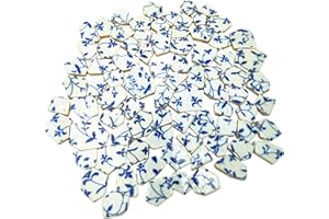 BTMIEY 500g Porcelain Ceramic Mosaic Tiles,Broken Irregular Mosaic Tiles for DIY Craft Floor,Kitchen,Pool, Flower Pots Mosaic Making Supplies (Porcelain 05)