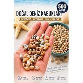 Flea Market 500 Adet Natural Minik Akvaryum Deniz Kabuğu Nassa Shell Karışık Minyat&uuml;r Deniz Kabuğu