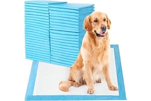 SKY-TOUCH Disposable Absorbent Quick Drying Leak-Proof Pee Pads, Disposable Training Pads For Pets with 5 Highly Absorbent Layers, Puppy Pads For Potty Training For Pets 60X60cm, 40 Pieces