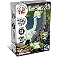 Kids Target Dinosauri Legend da Assemblare in Display 8 Pz di Ronchi