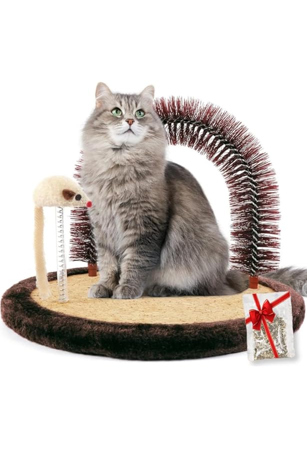 The Cat Arch Arche De Massage Et De Toilettage Pour Chats