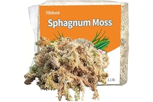 Yilotuce Sphagnum Moos, 500 g spaghnummoss für Orchideen, Gutes Kultursubstrat für Orchideen, Geweihfarne, Pflanzensetzlinge, Bewurzelung von Stecklingen und Anderen Pflanzen