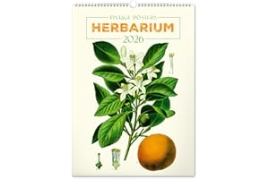 NOTIQUE Kalendarz ścienny 2026 w stylu vintage, plakat – zielnik – ilustracje roślin i plakaty natury – kalendarz ze zdjęciami 33 x 46 cm
