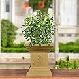 Go Hooked 16 Inch Tulsi Pot Traditional Decorative Planter Perfect for Home and Pooja Decor, Balcony, and Garden | Durable Weather-Resistant Brown