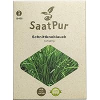 SaatPur Schnittknoblauch Samen, Saatgut für ca. 200 Pflanzen