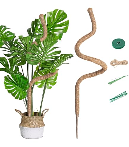Pflanzensttze 4er Set Fr Monstera Rankhilfe, Mit Einzigartigem  Blattdesign Fr Zimmerpflanzen, Rankhilfe Monstera, Pflanzen Sttze,  Vielfltige Stngelsttze, Dekorative Untersttzung : Amazon.de: Garten