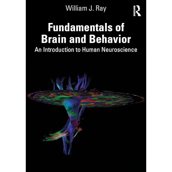 Fundamental Neuroscience : Squire, Larry, Berg, Darwin, Bloom
