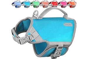 VIVAGLORY Neoprene Dog Life Jacket, Dog Buoyancy Aid for Swimming & Boating, Life Vest with Handle, Lightweight & Buoyancy for Doggy, XS, Teal