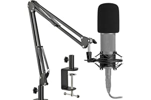 Frgyee AT2020 Braccio Del Microfono con Filtro Anti-Pop, Supporto per Microfono con Morsetto Aggiornato per Audio Technica AT2020 AT2020USB+ AT2035 Condensatore Studio Microfono