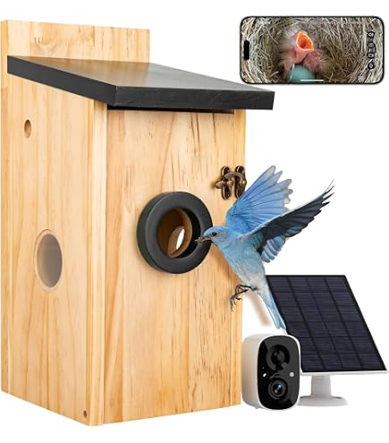 RAINBEAN Camera Nichoir, caméra pour nichoir extérieur de 4 Millions de RAINBEAN Camera Nichoir, caméra pour nichoir extérieur de 4 Millions de
