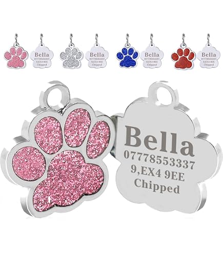 Red Dingo Personalized Swiss Cross Dog ID Tag - Small Stainless Steel Custom Engraved Pet Tag - View #7