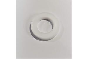 DEVELORY 1 x PTFE Dichtung für Sauerstoff, CO2, Argon, etc. - Auswahl: 20x11x2mm (SAUERSTOFF)