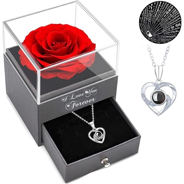 YAFEINI Collana da donna a forma di cuore di rosa, in argento
