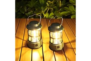 Guijiyi Camping Lanterns Battery Operated, 2 Pack LED Camping Lights Brightness Dimmable, IPX4 Waterproof Camping Lamps, Portable Camping Lamp for Hurricane, Emergency, Home, Shed and More