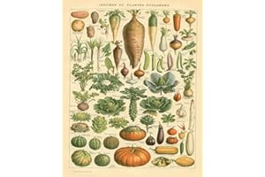 BIGYAK EpochSign - Plaque murale en métal émaillé vintage - Motif légumes et légumes - 20,3 x 30,5 cm