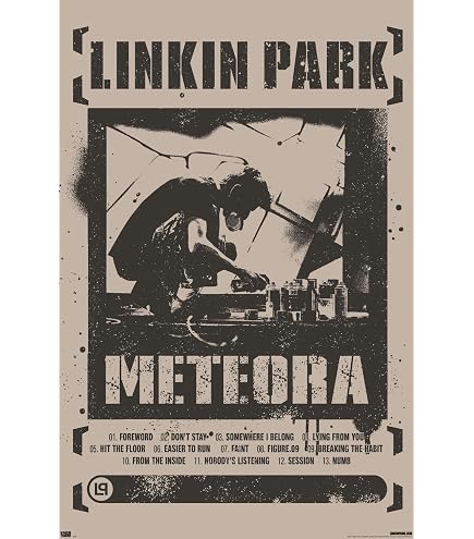 LINKIN PARK Poster Flag Plan B : Amazon.co.uk: Home & Kitchen