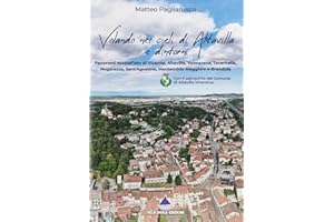 Volando nei cieli di Altavilla Vicentina e dintorni: Panorami mozzafiato di Vicenza, Altavilla, Valmarana, Tavernelle, Nogarazza, Sant'Agostino, Montecchio Maggiore e Brendola