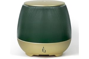 Earnest Living Dyfuzory olejków eterycznych 150 ml do dyfuzorów domowych, plastikowy dyfuzor do aromaterapii z kablem USB, dyfuzor zapachowy zmieniający kolor zielony, prezent