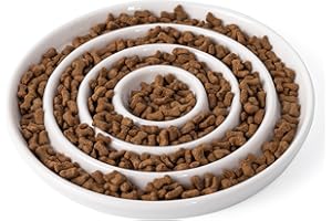 SLSON Gamelle en céramique pour Chat à Alimentation Lente，Fütterschale pour Animal Chat Surélevée Compagnie Manger Lentement pour Wet/Dry Food，Anti vomissements Gamelle pour Animal de Compagnie