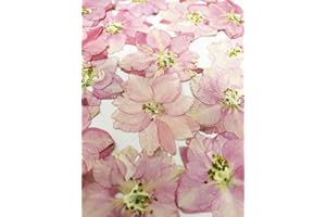 HANDI-KAFU 24 pcs Pink larkspur Real Natural Dried Pressed Flowers for Resin Art Craft DIY