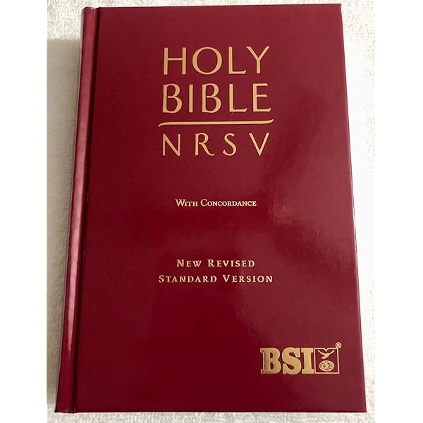 洋書 HOLY BIBLE NEW REVISED STANDARD VERSION Amazon.co.jp: New Revised Standard Version Updated Bible