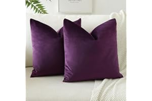 JOTOM Pack of 2 Velvet Soft Solid Cushion Covers 40x40 cm 16x16 Inch Decorative Throw Pillow Covers Square Cushion Case Home Decor Pillow Cases for Couch Sofa Living Room Bedroom (Eggplant Purple)