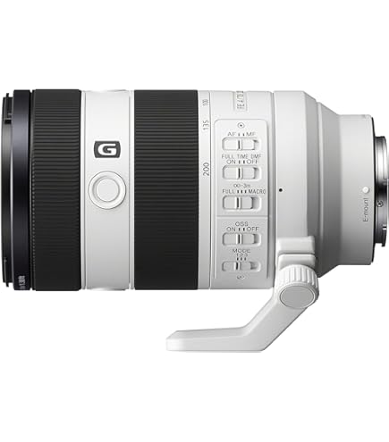 Sony SEL24105G I 24-105mm f4 G Master zoom lens (Sony Eurasia