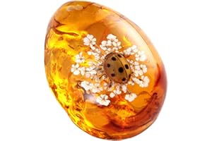 Funrelaxer Bernstein Fossil mit Insekten Proben Steine Kristall Exemplare Insekten Exemplar Bernstein Anhänger DIY Schmuck Anhänger