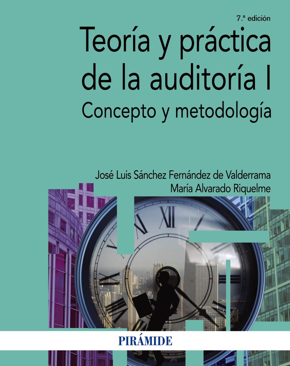 Teoría y práctica de la auditoría I: Concepto y metodología
