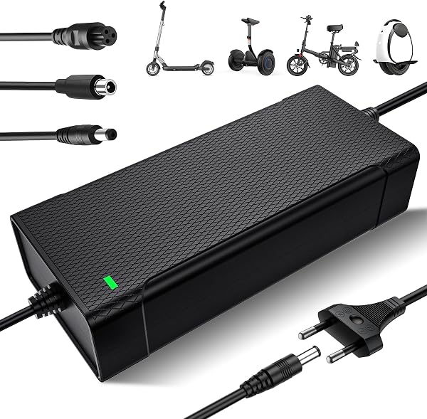 Yeerain Caricabatterie per Monopattino Elettrico, 42V 2A Caricabatterie Hoverboard 36V Monopattino Batteria con 4 Connettori per Hoverboard, Scooter Elettrico, Tavola da Drift, per X-iaomi, S-egway - 1