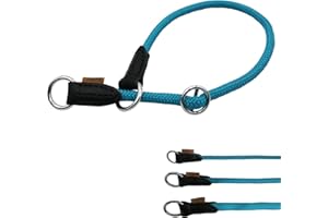 Aiminto Braided Collar, Pro Training Dog Collar, No Pull Round Martingale Collar, Slip Collar with Slidable Stop Ring - Ideal for Medium Dogs (M-(1/3") - 18" Long, Light Blue)
