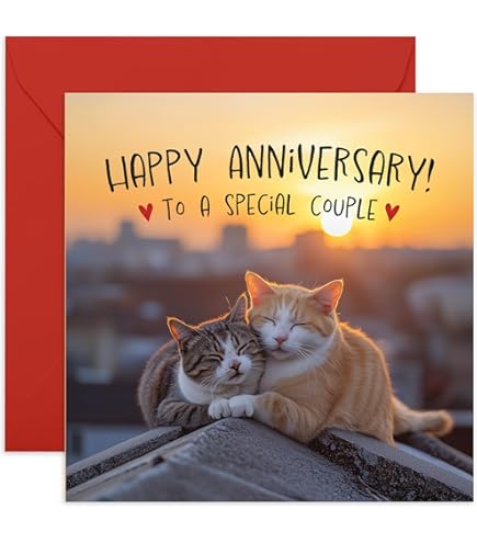 Anniversary Cards For Wife - Cat Anniversary Card For Husband Partner - View #7