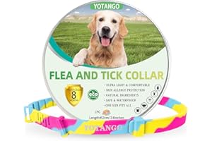 YOTANGO Collare Antiparassitario per Cani, Collare Antipulci Cane, Trattamento Collare Cane Antiparassitario Regolabile 8 Mesi di Protezione Naturale Antipulci per Cuccioli Cani di Grossa Taglia Colore