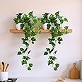 fancymart Plastic Pack Of 2 Artificial Vine Plants Falling With Small Size Pot-Natural Touch&Feel Home Décor-Perfect For Home