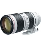 Canon EF 70-200mm f/2.8L IS III USM Lens - Telephoto Zoom Lens for