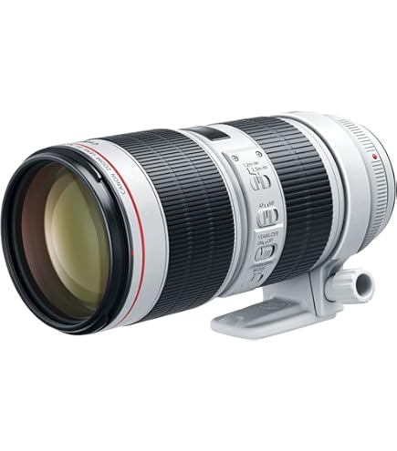 【れい⠀】Canon lens EF 70-200mm f/2.8 Canon EF 70-200mm f/2.8L IS USM Telephoto Zoom Lens for Canon SLR