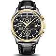 TEINTOP Ibv Men's Automatic Self Wind Wrist Watch Mechanical with Leather Band