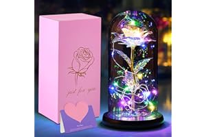 ROEXUN YUEHAO Die Schöne Und Das Biest Rose In Glaskuppel LED-Lichter,Enchanted Rose Eternal Rose Satz aus Seide,Romantisches Geschenk für Frauen,Hochzeit, Valentinstag, Muttertag, Jubiläum, Weihnachtstag