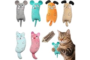 CaiTang 6 pezzi Giocattolo Catnip per Gatti, +10 Bastoncini di Erba Gatta per Matatabi Gatte, Giocattolo da Masticare Giochi per Gatto in Casa