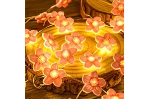 ‎ETOPGO Etopgo LED Lichterkette Kirschblüten, 2M 20 LED Lichterkette Innen Batterie, Lichterkette Blumen Girlande mit Timer, Lichterkette Frühling Deko für Festival, Innen/Außen, Hochzeit, Party