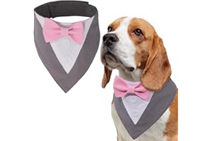 LiebeDD Papillon Cane, Animali Domestici Smoking Papillon per Cani, Formale Vestito Cane da Natale Halloween Matrimonio e Compleanno, Regolabile e Comodo Costumi Bandana Cane, Grigio, L