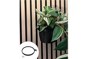 VLEUGEL Anello per piante