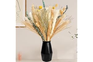 ‎APOMKJOE Pampasgras Trockenblumen Deko, 81 stück Pampasgras Getrocknetes Blumenstrauß, Boho Room Decor Bouquet, Startseite Trockenblumen Deko, für Hochzeiten, rustikale Partys, Babyparty-Dekorationen