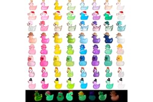 Yamitora Mini Enten Harz, 64 Stück Mini Leuchtend Enten Kleine Miniatur Ducks Figuren für Aquarium, Miniaturgarten, Puppenhaus, Handwerk, Landschaftsgärten, Bonsai, Fischbecken