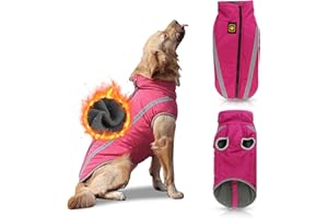 PETCUTE Manteau imperméable pour Chiens Veste pour Chien Taille Moyenne Grande Vetement chuads pour Chien