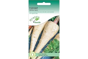 KRAIDO SEEDS Vegetable Seeds (Parsnip White Gem)