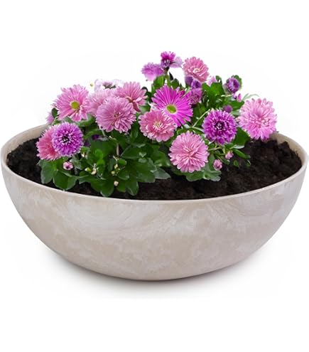 Plantenbak metalen regenton vogel balkondecoratie 15,5cm