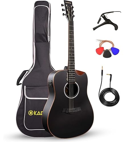 Gitane(ジタン) DG-310 Modele Lulo Reinhardt DG-310 Django Jazz Guitar - ジプシーギター / 　マカフェリギター Used Gitane DG-310 Lulo Reinhardt Gypsy Jazz Acoustic Guitar