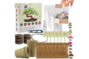 LOUISE & GASTON L&G Bonsai Starter Kit – Bonsai Anzuchtset mit 6 wunderschönen, 100% natürlichen Samen – Komplettes Bonsai Zucht Set mit Zubehör – Pflanzset für Anfänger – Bonsai Samen Set, Bonsai Aufzucht Set, Bonsa
